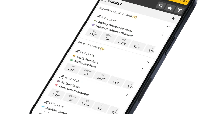 Cricket Betting & Exchange Hub Visual Guide